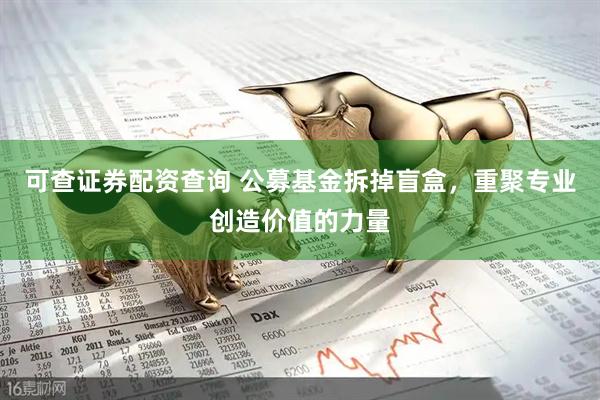 可查证券配资查询 公募基金拆掉盲盒，重聚专业创造价值的力量